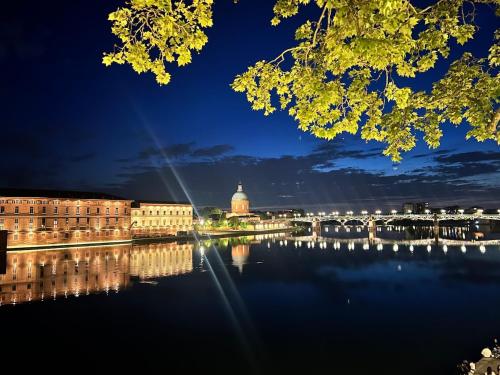 T2 Standing , Vue Garonne, 2 Balcons, Parking Privé