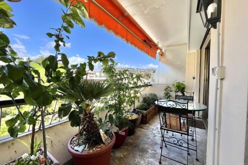 Bright 31m2 flowered terrace near Croisette photo 3
