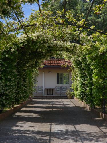 an archway leading to a house with a white door at Il Gelsomineto dell'Etna in Nicolosi