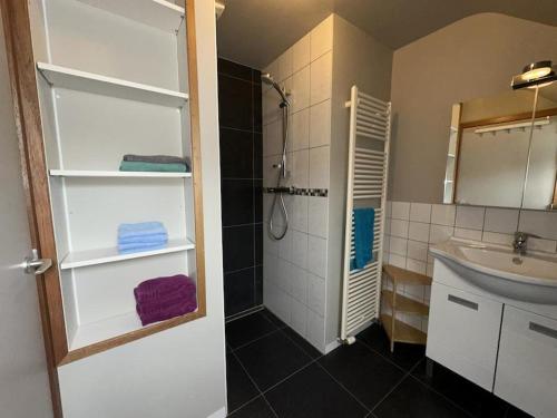 a bathroom with a shower and a sink at Hooiland's Hof in Diest