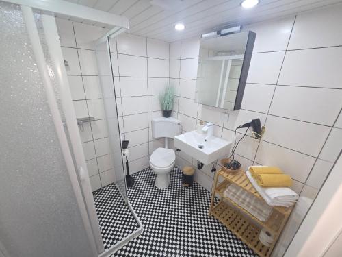ein kleines Badezimmer mit Waschbecken und Toilette in der Unterkunft Panoramic Hause in Uttenweiler