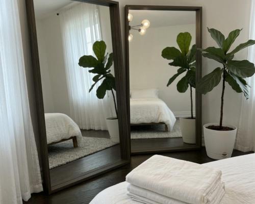 a mirror in a bedroom with a bed and a plant at 2 bedrooms living apartments in Lahore