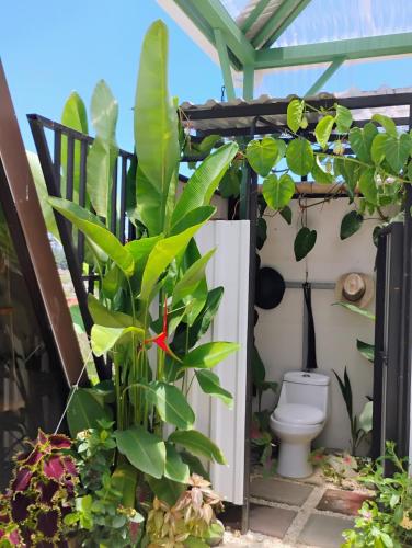 a bathroom with a toilet in a greenhouse at A-frame cabin in Parrita