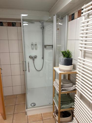 eine Dusche mit Glastür im Badezimmer in der Unterkunft Weinstraße 2 in Höchstberg