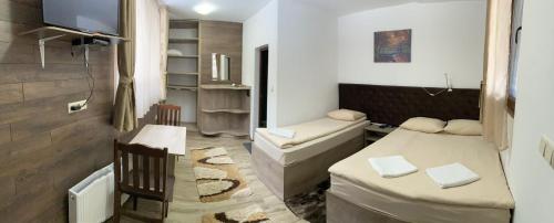 a small room with a bed and a couch and a television at Вила Шишарка in Govedartsi