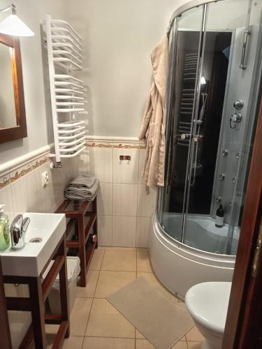 a bathroom with a shower and a sink at Modrzewiowy Dworek in Mirzec