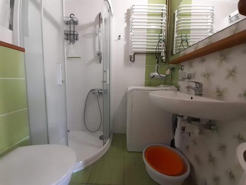 a bathroom with a sink and a toilet and a shower at Dom Gaja in Ińsko