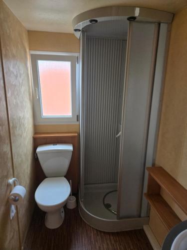 a small bathroom with a toilet and a shower at Kopićland HOMES in Marinci