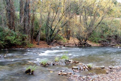 a stream of water with trees in the background at Jamieson Valley Retreat in Howqua