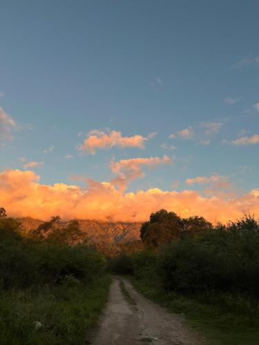 a dirt road in the middle of a field at Cosmika, eco casa de montaña in Las Calles