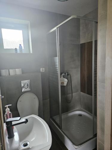 a bathroom with a shower and a toilet and a sink at Domek skandynawski in Łuszczewo