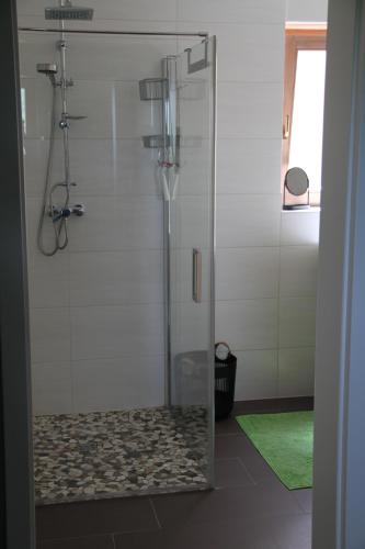 a shower with a glass door in a bathroom at Ferienwohnung Moin Eifel in Schleiden