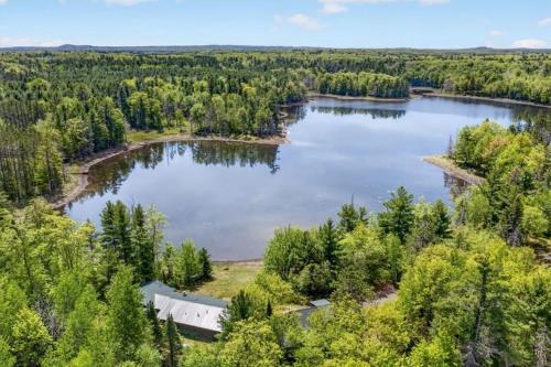 an aerial view of a large lake in the woods at Lang Lodge cabin in Drummond