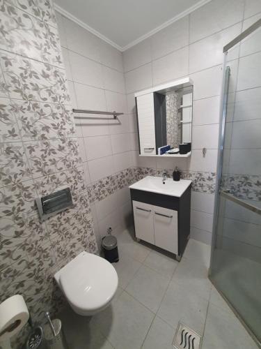 a bathroom with a toilet and a sink at Omega Dom in Vrnjačka Banja