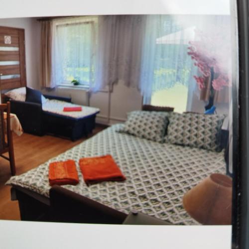 a living room with a bed and a couch at TANIE NOCLEGI u WOJTKA in Cieplice Slaskie Zdroj