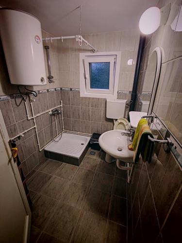 a small bathroom with a sink and a toilet at HERC domaćinstvo in Nova Varoš
