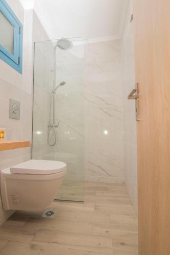 a bathroom with a toilet and a glass shower at Akrotiri Vasiliki in Vasiliki