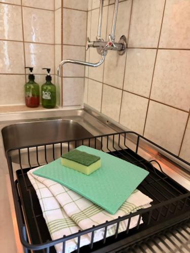 a dish drying rack with a green sponge and a sink at Ferienhaus Hirschglück in Alpirsbach