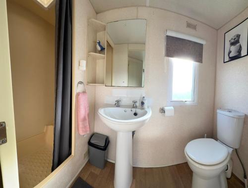 a bathroom with a sink and a toilet and a mirror at Klara Happy Days in Trusthorpe