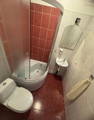 a bathroom with a toilet and a shower and a sink at Leču muiža in Lēči
