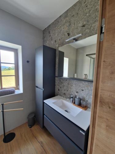 a bathroom with a sink and a mirror at Domačija Blaževc in Žiri