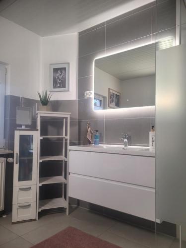 a bathroom with a sink and a mirror at Waldblick in Marlow