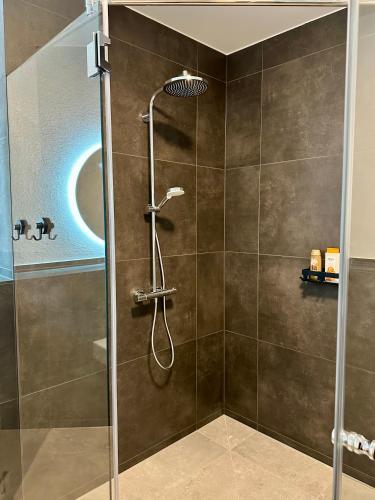 a shower with a glass door in a bathroom at Hedwig und Paul in Mehring