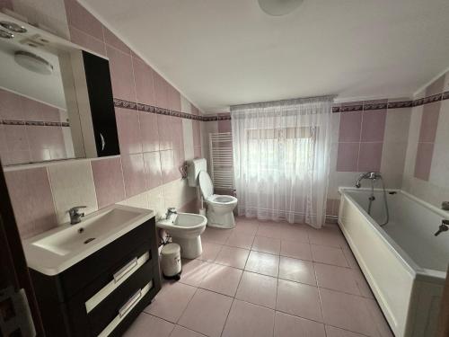 ein Badezimmer mit Waschbecken, Toilette und Badewanne in der Unterkunft Catana in Arad
