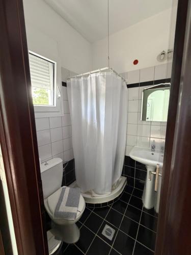 a bathroom with a toilet and a sink at Hotel Iliana in Mandrotopos