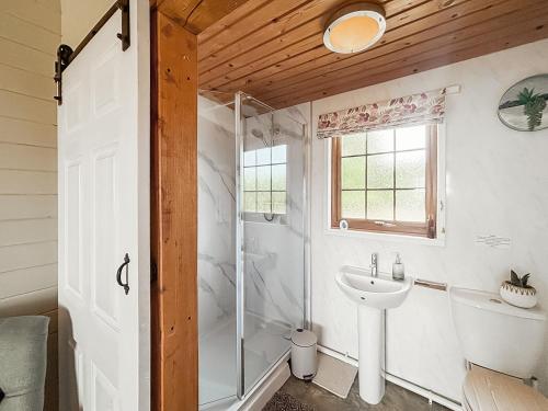 a bathroom with a shower and a sink at Poundgate Lodge in Knighton
