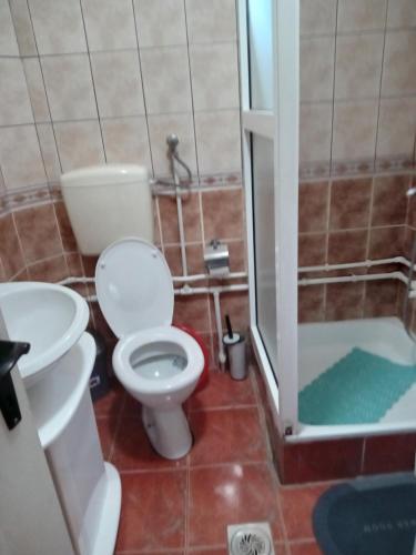a bathroom with a toilet and a sink and a shower at Planinska Kuća Dušan in Mitrovac