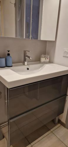 a white sink in a kitchen with a mirror at Studio moderne Évian, lac et therme in Évian-les-Bains