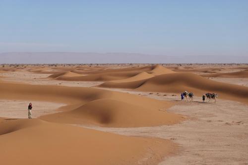 a group of people walking through the desert with their camels at Camp la mer de sable in Mhamid