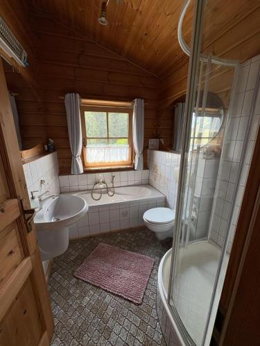 a bathroom with a toilet and a sink and a shower at Ferienhaus Hohenlubast in Gräfenhainichen