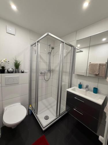 a bathroom with a shower and a toilet and a sink at Apartment Ferienwohnung in Sulzbach
