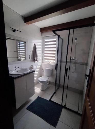 a bathroom with a toilet and a sink and a shower at Przystanek Ładnówko in Kruszyny Szlacheckie