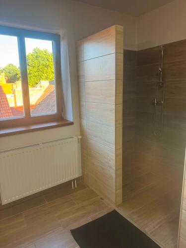 a bathroom with a shower with a window at Apartmán Netolice in Netolice