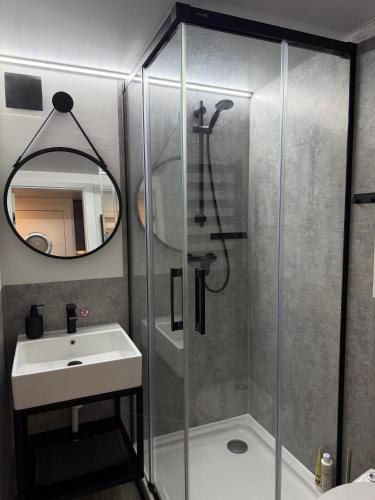 a bathroom with a shower and a sink at Design-Hausboot am Rheinsteig in Lorch am Rhein