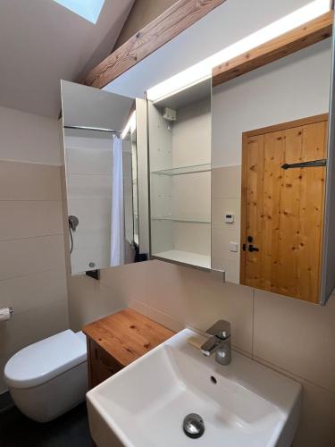 a bathroom with a sink and a toilet and a mirror at Studio-Style Apartment in Spreenhagen