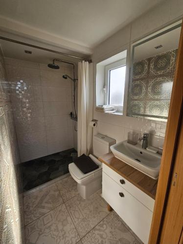 a bathroom with a toilet and a sink at VRHouse Vorbis River House in Ada Skeljanska