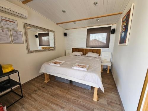 a bedroom with a bed and a mirror at VRHouse Vorbis River House in Ada Skeljanska