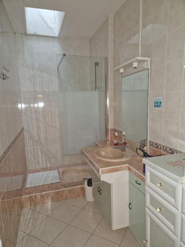a bathroom with a shower and a sink and a tub at Gîte à 15km PUY duFOU 5pers 3chambres in Pouzauges