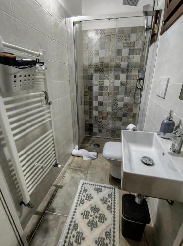 a bathroom with a shower and a sink and a toilet at Masseria Santa Laria in Borgagne