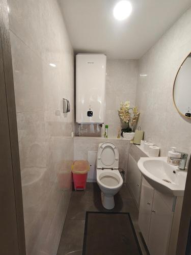 a bathroom with a toilet and a sink at Žangrija in Verbiškis