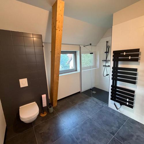 a bathroom with a toilet and a window at Charmant studio climatisé Kintzheim in Kintzheim
