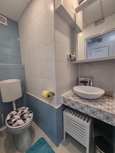 a bathroom with a toilet and a sink at Da Vinci Apartmanok in Eger
