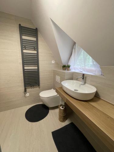 a bathroom with a sink and a toilet at Chata Harmony in Ružomberok