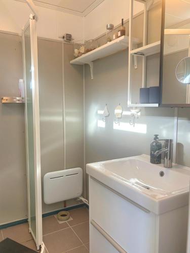 a small bathroom with a sink and a shower at Schwedenhaus am See in Storfors
