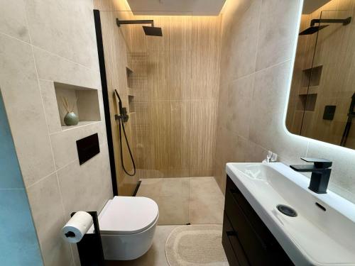 a bathroom with a sink and a toilet and a shower at Leśny Azyl Rzeszów in Hermanowa