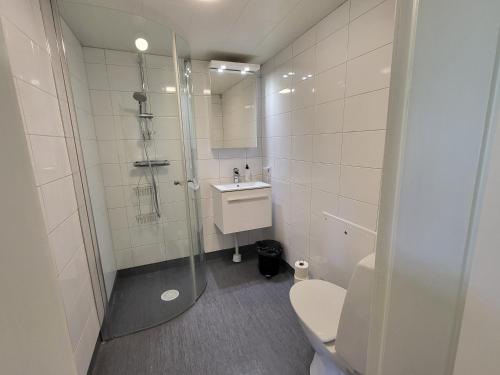 a bathroom with a shower and a toilet and a sink at Smedstugan in Norrköping